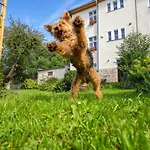 Dom Pod Rybia Skala Appartement Jelenia Góra