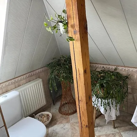 아파트 Dom Pod Rybia Skala 옐레니아구라