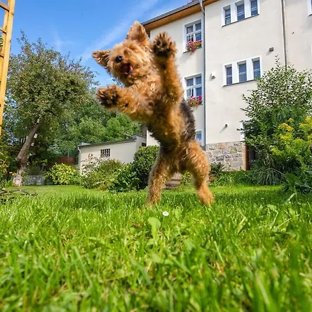 Dom Pod Rybia Skala 아파트 옐레니아구라