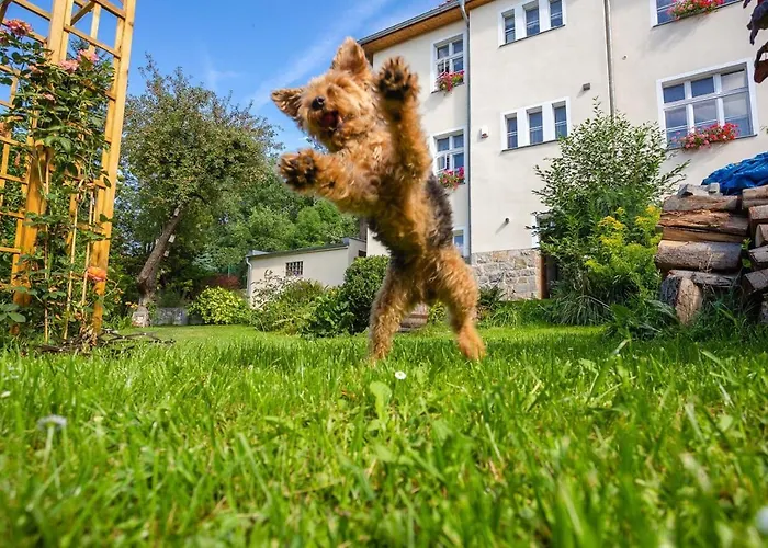 Dom Pod Rybia Skala Appartamento Jelenia Góra